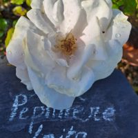Souvenir de Sainte Anne's – Image 2