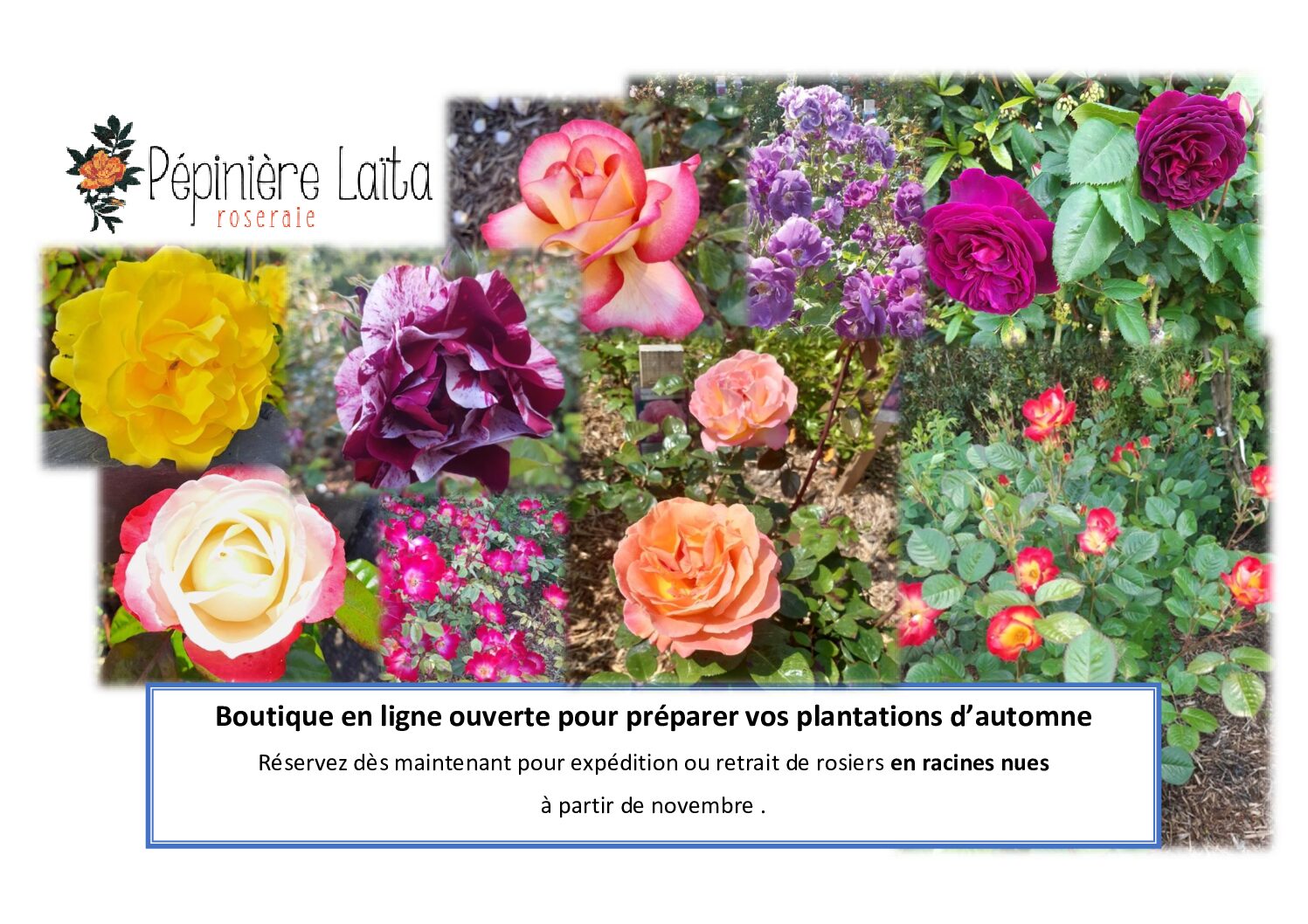 boutique en ligne 2